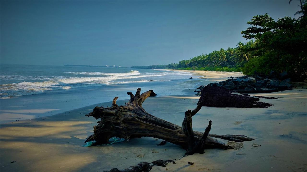 White Shell Beach House Kannur Eksteriør bilde