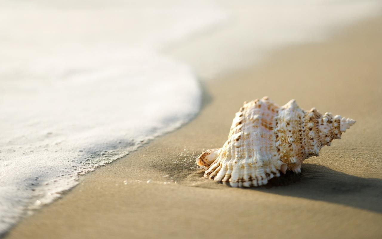 White Shell Beach House Kannur Eksteriør bilde